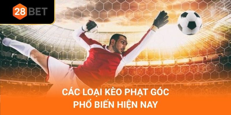 Các loại kèo phạt góc phổ biến hiện nay