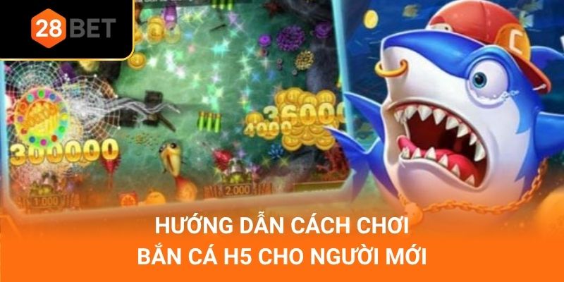 Hướng dẫn cách chơi bắn cá H5 cho người mới