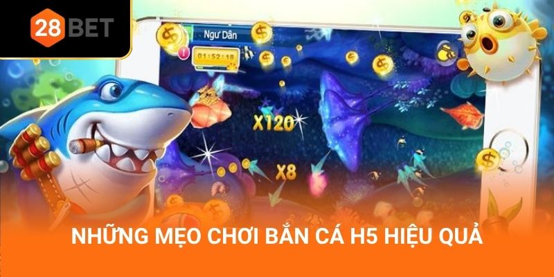 Những mẹo chơi bắn cá H5 hiệu quả