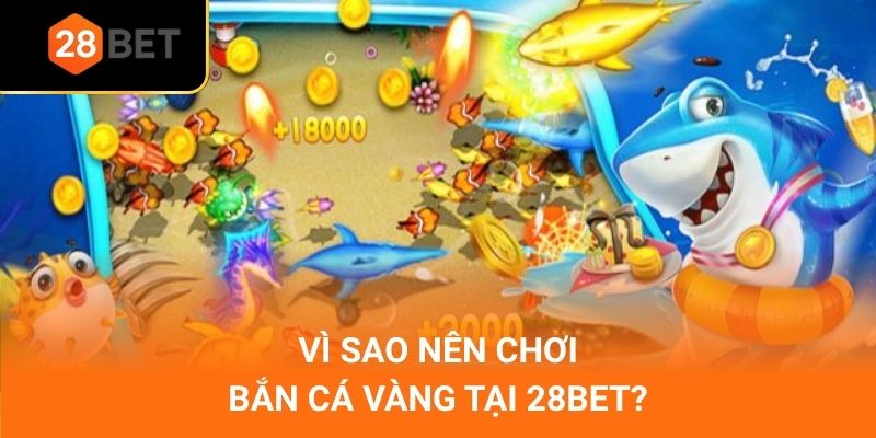 Vì sao nên chơi bắn cá vàng tại 28Bet