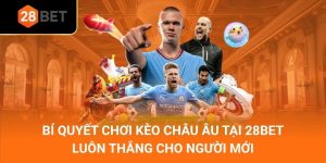 Bí Quyết Chơi Kèo Châu Âu Tại 28Bet Luôn Thắng Cho Người Mới