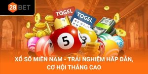 Xổ Số Miền Nam - Trải Nghiệm Hấp Dẫn, Cơ Hội Thắng Cao
